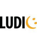 Ludic